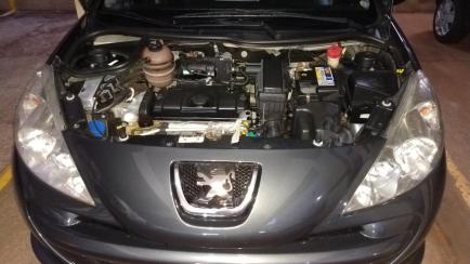 Peugeot 207 Hatch XR 1.4 8V (flex) 4p